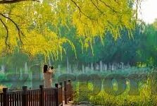 竞彩足球比分竞-竞彩足球比分竞，一场智慧与运气的博弈盛宴