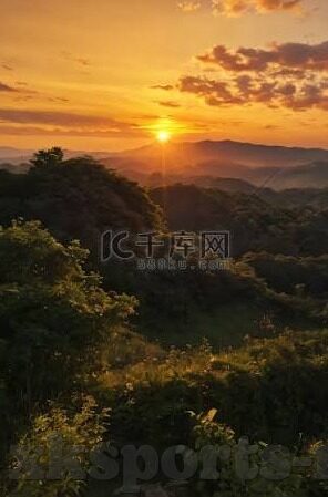 体网比分足球比分即时比分-体网比分，足球世界的实时脉搏，即时比分背后的激情与策略