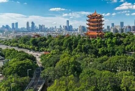 同步足球比分-同步足球比分，连接全球绿茵激情的数字纽带