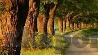 足球比分034-足球比分034背后，一场跌宕起伏的绿茵盛宴解析