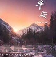 足球比分我-足球比分与我，一场永不落幕的数字狂欢