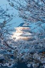 足球大比分中国-从黑色三分钟到红色狂飙，中国足球大比分背后的时代嬗变